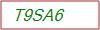 Captcha Text