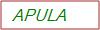 Captcha Text