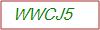 Captcha Text