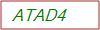 Captcha Text
