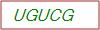 Captcha Text