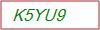 Captcha Text
