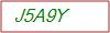 Captcha Text